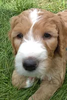 processed/df28341f-abba-4eb9-af80-941a01a63c73/facility/4ee9962d-967c-4ace-b642-3932d548b959