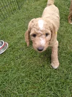 processed/df28341f-abba-4eb9-af80-941a01a63c73/facility/955c82ee-36e1-455f-9bb8-bd7fca831bcb