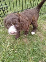 processed/df28341f-abba-4eb9-af80-941a01a63c73/facility/bb2f5790-07aa-4d5a-94cf-ddc5952a7d08