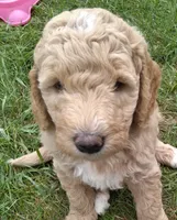 processed/df28341f-abba-4eb9-af80-941a01a63c73/facility/e85727f4-e5ce-4cd4-a0a3-b431341df180