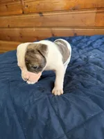 processed/df2de42d-8950-4ebb-9a2a-ec927e99cc4a/listing/28dda084-70ab-4097-9fb5-d12241a9524f/623fa19a-d3a1-4710-b113-5ab9517ccd65