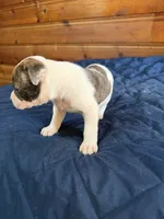 processed/df2de42d-8950-4ebb-9a2a-ec927e99cc4a/listing/28dda084-70ab-4097-9fb5-d12241a9524f/7c660c8b-4f20-4729-b904-6b09ba0cdce7