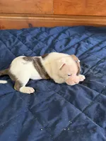 processed/df2de42d-8950-4ebb-9a2a-ec927e99cc4a/listing/28dda084-70ab-4097-9fb5-d12241a9524f/7f7ef478-82f7-4091-8744-90a6ecf96b5a