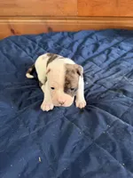 processed/df2de42d-8950-4ebb-9a2a-ec927e99cc4a/listing/28dda084-70ab-4097-9fb5-d12241a9524f/9c4d2fa1-ec54-42d0-a1d4-61e8f44311e2