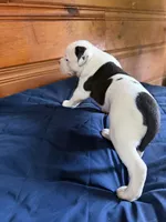 processed/df2de42d-8950-4ebb-9a2a-ec927e99cc4a/listing/2f508905-4142-45c6-9e98-41cc859d05bd/aa7a1de1-deac-4bd3-b0a7-212fb8b150af