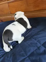 processed/df2de42d-8950-4ebb-9a2a-ec927e99cc4a/listing/2f508905-4142-45c6-9e98-41cc859d05bd/ce87b57a-9c8c-4e52-854e-7f01ddaa0a91