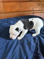 processed/df2de42d-8950-4ebb-9a2a-ec927e99cc4a/listing/2f508905-4142-45c6-9e98-41cc859d05bd/d8124c01-0801-49c4-82b8-a24d9f3398d4