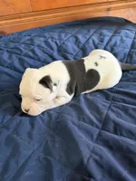 processed/df2de42d-8950-4ebb-9a2a-ec927e99cc4a/listing/2f508905-4142-45c6-9e98-41cc859d05bd/f27557e7-8898-4832-b236-303eca5a28cf