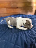 processed/df2de42d-8950-4ebb-9a2a-ec927e99cc4a/listing/30fb9c4f-1907-4c2e-af6f-655d06fd5448/13730294-71a2-46fa-b9b5-36ed78280c99