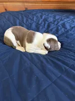 processed/df2de42d-8950-4ebb-9a2a-ec927e99cc4a/listing/b60bc7ce-ebc8-4da5-9d09-2ac6e931f763/6c437b71-7b67-4bed-9f28-ab81c3209c52