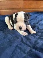 processed/df2de42d-8950-4ebb-9a2a-ec927e99cc4a/listing/bc2d4445-d347-471e-b09c-676d393543ab/0149a114-7a61-4648-acb1-aa7121b0f375