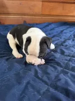 processed/df2de42d-8950-4ebb-9a2a-ec927e99cc4a/listing/bc2d4445-d347-471e-b09c-676d393543ab/0b3c060d-fb0a-4f14-add1-bf5a48dfcaf1