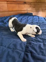 processed/df2de42d-8950-4ebb-9a2a-ec927e99cc4a/listing/bc2d4445-d347-471e-b09c-676d393543ab/58ba77fc-536f-4501-bfbd-15ed613aabcc