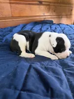 processed/df2de42d-8950-4ebb-9a2a-ec927e99cc4a/listing/bc2d4445-d347-471e-b09c-676d393543ab/738e1894-7d88-4fc8-b086-b42d2aefc72c