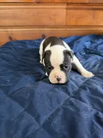 processed/df2de42d-8950-4ebb-9a2a-ec927e99cc4a/listing/df70e1ec-3a00-4775-9b3b-3bf01a79684c/431213ad-edf5-4f69-869f-25e287cd6ebb