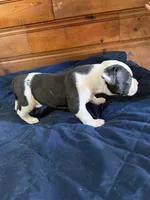 processed/df2de42d-8950-4ebb-9a2a-ec927e99cc4a/listing/df70e1ec-3a00-4775-9b3b-3bf01a79684c/5a4b8960-a328-4112-842b-a46c77e1c3ab