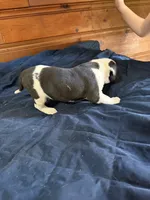 processed/df2de42d-8950-4ebb-9a2a-ec927e99cc4a/listing/df70e1ec-3a00-4775-9b3b-3bf01a79684c/ca11d47a-0797-434b-b581-bf72e67db7a2