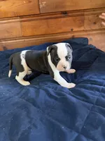 processed/df2de42d-8950-4ebb-9a2a-ec927e99cc4a/listing/df70e1ec-3a00-4775-9b3b-3bf01a79684c/e07282b5-8d47-474e-a986-0679c13e52db