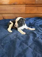 processed/df2de42d-8950-4ebb-9a2a-ec927e99cc4a/listing/df70e1ec-3a00-4775-9b3b-3bf01a79684c/f3a861b9-20a3-437b-a689-0b9bc2a2d4f2