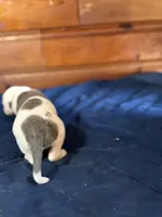 processed/df2de42d-8950-4ebb-9a2a-ec927e99cc4a/listing/e8755b08-5791-48b9-bc80-c6c6cd282353/3bab2238-ad8a-4772-9f4a-07e7eeaa42de