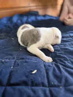 processed/df2de42d-8950-4ebb-9a2a-ec927e99cc4a/listing/e8755b08-5791-48b9-bc80-c6c6cd282353/53ff1f16-3036-4d95-82df-9c69281801da