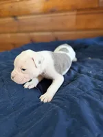 processed/df2de42d-8950-4ebb-9a2a-ec927e99cc4a/listing/e8755b08-5791-48b9-bc80-c6c6cd282353/ed20882a-6888-469b-9a37-6a9d2f97147b