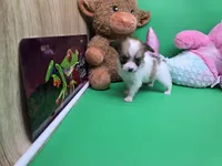 processed/df33c049-bf91-476b-81ec-a99d5c5fa8b1/listing/080d7a21-3807-416d-9f7b-05d14f9dcb19/8bfd1252-3d18-4f59-bbe9-7d79eee1a830