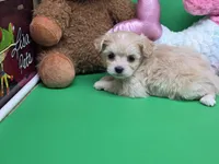 processed/df33c049-bf91-476b-81ec-a99d5c5fa8b1/listing/1e5d24dd-072c-46b4-966e-ba7ca84b55a6/a916c1ea-9359-4484-a866-f83350c54cb7