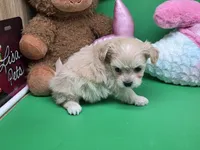 processed/df33c049-bf91-476b-81ec-a99d5c5fa8b1/listing/1e5d24dd-072c-46b4-966e-ba7ca84b55a6/ea7e9e28-dc2b-481c-8d4d-8f86baac4f71