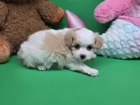 processed/df33c049-bf91-476b-81ec-a99d5c5fa8b1/listing/26f53c9d-4575-4ccc-8b12-618273eaf34c/698e7159-5355-4219-b9d7-7dd2d9603570