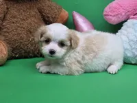 processed/df33c049-bf91-476b-81ec-a99d5c5fa8b1/listing/26f53c9d-4575-4ccc-8b12-618273eaf34c/d7e910da-e1ed-4d60-9bcc-410a1b1e1cfb