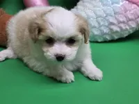 processed/df33c049-bf91-476b-81ec-a99d5c5fa8b1/listing/26f53c9d-4575-4ccc-8b12-618273eaf34c/e303ade2-da15-42ae-a63b-f46031922e28