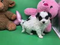 processed/df33c049-bf91-476b-81ec-a99d5c5fa8b1/listing/87e9a2b2-d800-4d15-88bf-4cb7fc4b2592/1885aa52-23d0-4cb3-ab1d-89ec85152cd8