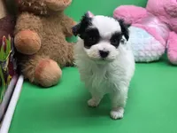 processed/df33c049-bf91-476b-81ec-a99d5c5fa8b1/listing/87e9a2b2-d800-4d15-88bf-4cb7fc4b2592/1bccc5f8-546f-4949-a3f1-e9086ba436a6