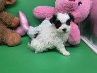 processed/df33c049-bf91-476b-81ec-a99d5c5fa8b1/listing/87e9a2b2-d800-4d15-88bf-4cb7fc4b2592/b61013dd-d420-4f8f-b4c9-3d87cfbc16b1