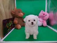 processed/df33c049-bf91-476b-81ec-a99d5c5fa8b1/listing/a5d4de97-99a4-4be8-8c6d-e551c2ce6af7/1287ba2f-220f-49e9-b683-5d545ce7b0a1