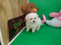 processed/df33c049-bf91-476b-81ec-a99d5c5fa8b1/listing/a5d4de97-99a4-4be8-8c6d-e551c2ce6af7/8d30f0c0-b2a9-4b3d-8b48-6a937ed0ce98