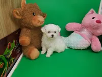 processed/df33c049-bf91-476b-81ec-a99d5c5fa8b1/listing/a5d4de97-99a4-4be8-8c6d-e551c2ce6af7/a475b9b8-7614-407c-b145-54f8560441b2