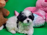 processed/df33c049-bf91-476b-81ec-a99d5c5fa8b1/listing/c9cdd113-a5f0-49f9-9305-0a9f44a7b684/23b7a71a-859f-4c1a-91d2-4737202a48c1