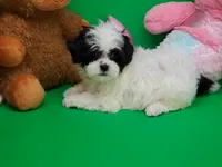 processed/df33c049-bf91-476b-81ec-a99d5c5fa8b1/listing/c9cdd113-a5f0-49f9-9305-0a9f44a7b684/a43fd66f-ecfe-4d81-b1a7-9b3be103477b