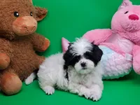 processed/df33c049-bf91-476b-81ec-a99d5c5fa8b1/listing/c9cdd113-a5f0-49f9-9305-0a9f44a7b684/dfe02969-27da-4b7f-b42a-7135a834d412