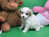 processed/df33c049-bf91-476b-81ec-a99d5c5fa8b1/listing/ceba35a4-eba8-414c-b7df-27ac036ac941/0dc4b593-47de-478c-a57a-a873aab32b28