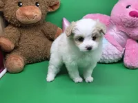 processed/df33c049-bf91-476b-81ec-a99d5c5fa8b1/listing/ceba35a4-eba8-414c-b7df-27ac036ac941/d218526c-947c-475c-9b65-89f5d8514f32