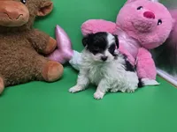 processed/df33c049-bf91-476b-81ec-a99d5c5fa8b1/listing/e5973535-ab8d-43ae-acb8-f9a8468567ab/1b64e017-b40f-41f0-b659-eb1fce2cb88f