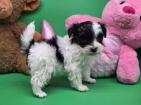 processed/df33c049-bf91-476b-81ec-a99d5c5fa8b1/listing/e5973535-ab8d-43ae-acb8-f9a8468567ab/71e624e5-16a4-41fb-a13e-ecc6209dd7d8