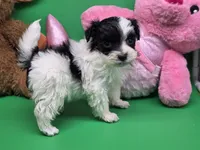 processed/df33c049-bf91-476b-81ec-a99d5c5fa8b1/listing/e5973535-ab8d-43ae-acb8-f9a8468567ab/ca7c09a9-ba2c-4415-9b55-8bc3fc4be86a