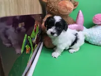 processed/df33c049-bf91-476b-81ec-a99d5c5fa8b1/listing/e8ff733e-9101-4fba-bac2-0087a5f99faf/827370d9-35e4-40f8-b9ef-c31c0fa3da30