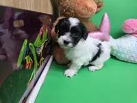 processed/df33c049-bf91-476b-81ec-a99d5c5fa8b1/listing/e8ff733e-9101-4fba-bac2-0087a5f99faf/b1570014-8aac-4aeb-9558-927ff73cbfbc