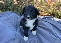 processed/df47fc65-9f16-46bb-acfd-d39f3a761d65/listing/b51de949-be89-4b10-8058-b10539513233/74e90643-94c7-4d14-90b2-37cf727ec72b