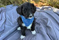 processed/df47fc65-9f16-46bb-acfd-d39f3a761d65/listing/b51de949-be89-4b10-8058-b10539513233/84783a67-700c-47f7-9200-ddbf7ea37738